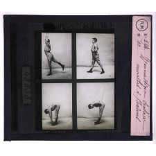Education physique. La gymnastique. Gymnastique scolaire, marches et flexions.