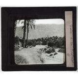 Sahara. Oasis d'El Kantara.