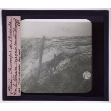 Guerre 1914-1918. Champs de bataille. Sur le terrain conquis ravitaillement des premières lignes.