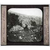 Palestine, Judée. Fontaine d'Elisée.