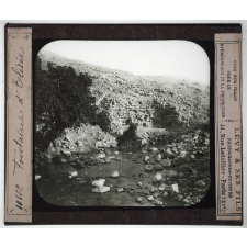 Palestine, Judée. Fontaine d'Elisée.