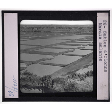 Côtes de la Manche et Atlantique. Sables d'Olonne. Marais salants.