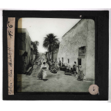 Oasis. Biskra - Rue Malakoff.