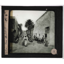 Oasis. Biskra - Rue Malakoff.