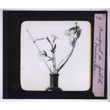 L'Art à l'école, décoration par les fleurs de printemps. Bouquet de petite pervenche.