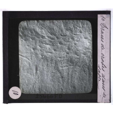 Ce qu'on voit en se penchant au bord de la mer. Traces de crabes dans le sable.