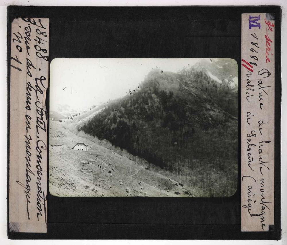 Conservation des terres en montagne et sur les pentes. Action de la forêt sur le sol et sur le régime des eaux, pâturages, prés, bois, correction des torrents. Pâture de haute montagne. Vallée de Salsein (Ariège).