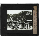 La Guadeloupe et ses dépendances. La Pointe à Pitre. Un coin du marché. 