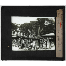 La Guadeloupe et ses dépendances. La Pointe à Pitre. Un coin du marché. 