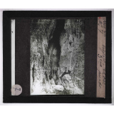 La Spéléologie ou science des cavernes. Vigne-Close, 3eme puits.