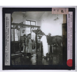 Sérothérapie. Préparation des divers sérums de l'Institut Pasteur de Paris. Saignée d'un cheval (2e temps).
