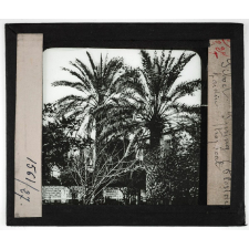 Etats-Unis. Régions Atlantique nord et sud. Silver Spring (Floride). Jardin tropical.