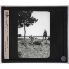 Forêts de France. Feuillus et résineux. Arcachon. Échassiers landais.