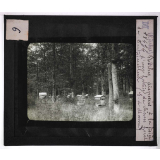 Forêts de France. Feuillus et résineux. Ruches disposées à la lisière d'une futaie de chênes. Forêt de Fontainebleau (Seine-et-Marne).