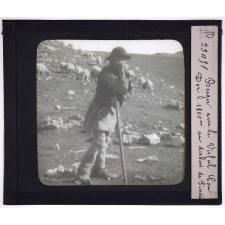 Roumanie. Berger sur le Virful Cou Dor 1800 m au dessus de Sinaïa.
