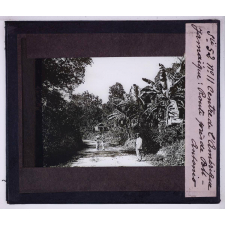 Amérique centrale Mission Cernay. Jamaïque : Route près de Port-Antonio.