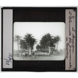 Mexique. L'Alameda ou promenade de cocotiers.