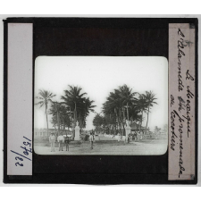 Mexique. L'Alameda ou promenade de cocotiers.