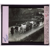 La Retraite des Serbes en Albanie après la campagne de 1915. Transport des blessés dans les chariots à bœufs conduits par les femmes serbes.