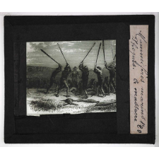 Les Mammifères marins. Phoques. Le massacre.