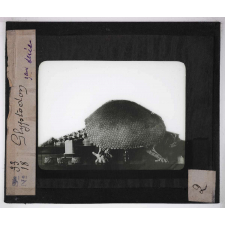 Ère quaternaire, ustensiles, nature, fossiles. Glyptodon.