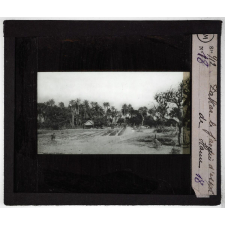 Le Sénégal. Le pays, son fleuve, ses habitants, ses ressources. L'oeuvre coloniale française. Dakar, le jardin d'essai de Hann.