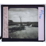La Bataille de la Marne. Le théâtre des combats de 1915. Marais de St-Gond (Marne), près de la route de Broussy-le-Petit à Coizard.