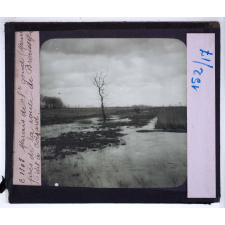 La Bataille de la Marne. Le théâtre des combats de 1915. Marais de St-Gond (Marne), près de la route de Broussy-le-Petit à Coizard.