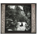 Etats-Unis. Régions Atlantique nord et sud. Gorge dans les Catskills. Et. de New York.