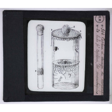 Le Paludisme. Capture et élevage du moustique - Tube pour capturer les moustiques.