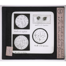 Prophylaxie des maladies contagieuses. 1ère série. Transmises par les déjections, les matières fécales, l'eau souillée; les sécrétions respiratoire. Bacilles de la fièvre typhoïde, du choléra, de la dysentrie, amibe de la dysentrie.