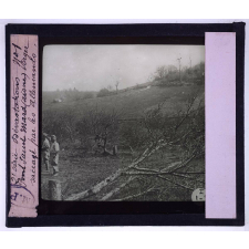 Dévastations. Pont Saint Mard (Aisne). Verger saccagé par les Allemands.