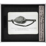 Morsures de serpents venimeux. Instrument de musique pour charmer les serpents.