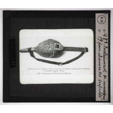 Morsures de serpents venimeux. Instrument de musique pour charmer les serpents.