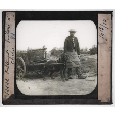 Belgique. Ostende. Voiture à chien.