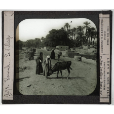 Egypte. Karnak. Le Village.