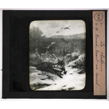 La Chasse. Renard tenant un canard.