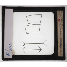 Organes des sens. Illusions d'optique.