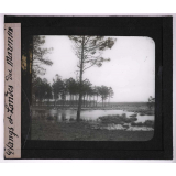 Eaux de ruissellement. Etangs et Landes du Marensin.