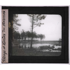 Eaux de ruissellement. Etangs et Landes du Marensin.
