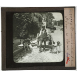 Suisse, les villes. Berne : Laitier et son attelage de chiens.