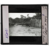 Colonies françaises de l'Afrique tropicale. Entrée de village. Côte d'Ivoire.