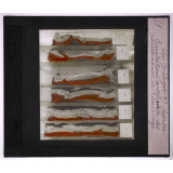 La Géologie expérimentale. Deuxième partie. Application de la méthode expérimentale à l'étude des phénomènes orogéniques (formation des chaînes de montagnes). Imitation artificielle des phénomènes de charriage.