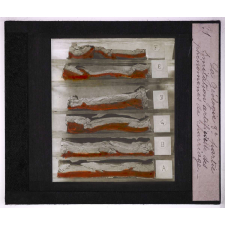 La Géologie expérimentale. Deuxième partie. Application de la méthode expérimentale à l'étude des phénomènes orogéniques (formation des chaînes de montagnes). Imitation artificielle des phénomènes de charriage.