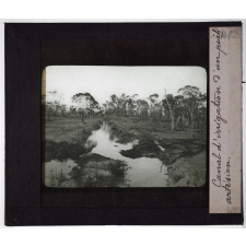 Australie. Canal d'irrigation d'un puits artésien.