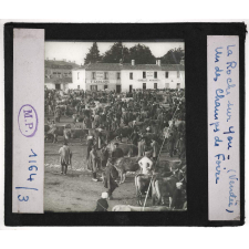 Vendée. La Roche sur Yon. Un des champs de Foire.