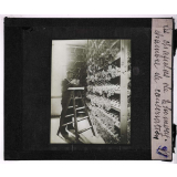 La Production des raisins de table. Les chasselas de Thomery. Chambre de conservation.