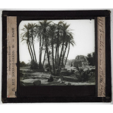 Egypte. Temple romain, Wadhi-Tafah.