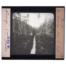 Norvège, la forêt. Un drainage dans la forêt.