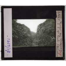 L'Ile de la Réunion : géographie physique, politique et économique. Gorge de Bernia, St Paul.